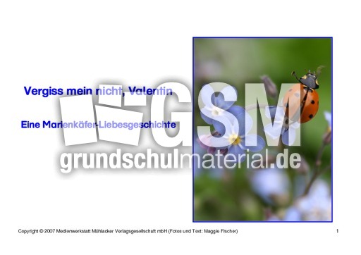 Bilderbuch-Valentin-1-19.pdf